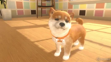 Se vuelve viral tras rescatar a unos perros de Nintendogs abandonados