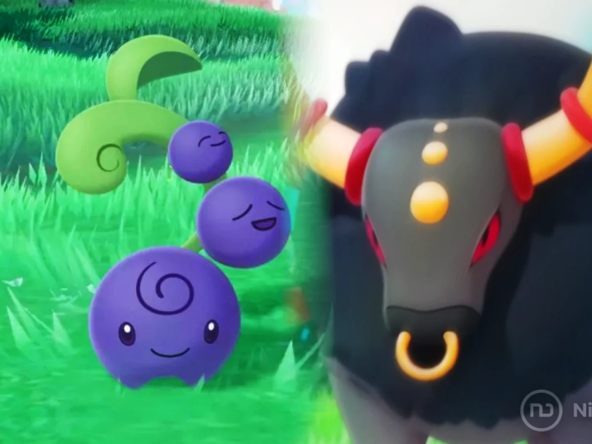 Esta es la imagen de una supuesta nueva variante regional de Cherubi para Pokémon  Escarlata y Púrpura que está circulando - Nintenderos