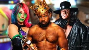Skins WWE Fall Guys