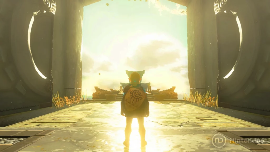 The Legend of Zelda Tears of the Kingdom Link Dentro de un Templo