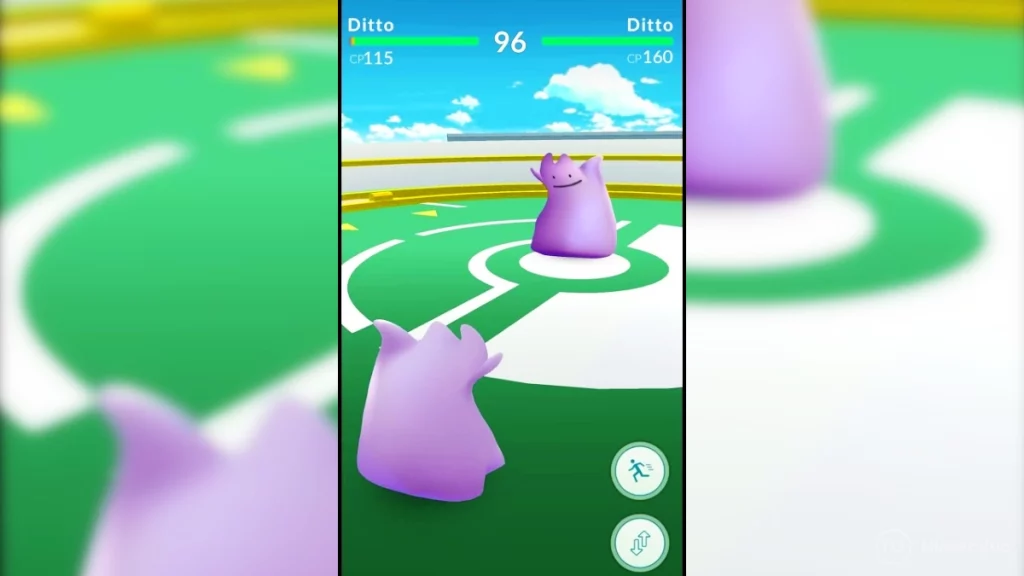 Ditto in a gym battle in Pokémon GO