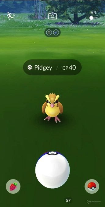 Pidgey Pokemon GO