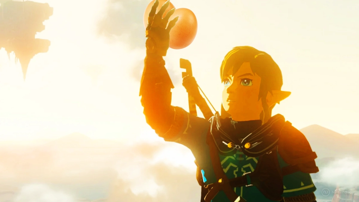 Link Testiculos Zelda Tears Kingdom