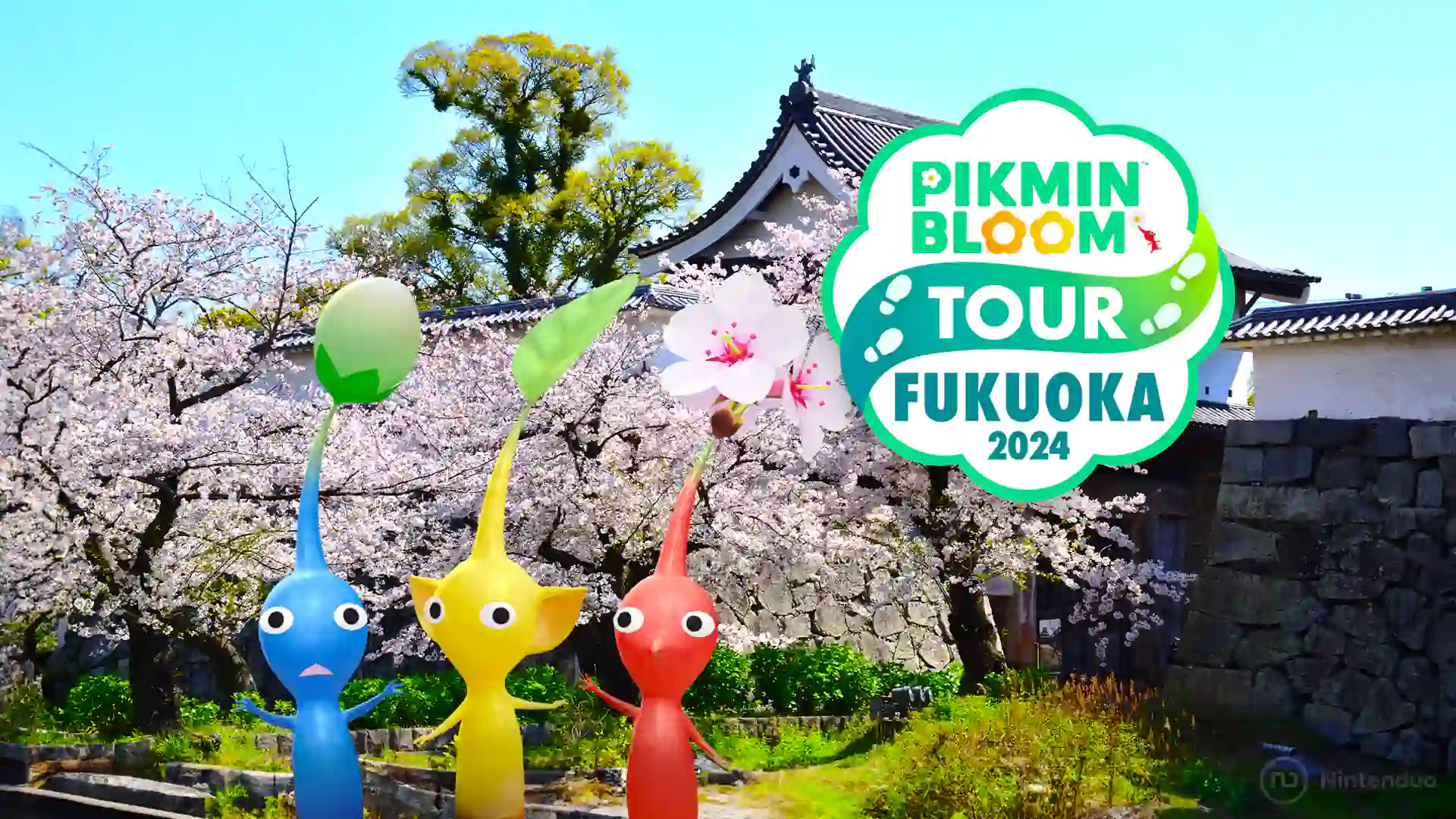 Nintendo te lleva a ver los cerezos en flor japoneses con el sorteo del Tour especial de Pikmin Bloom