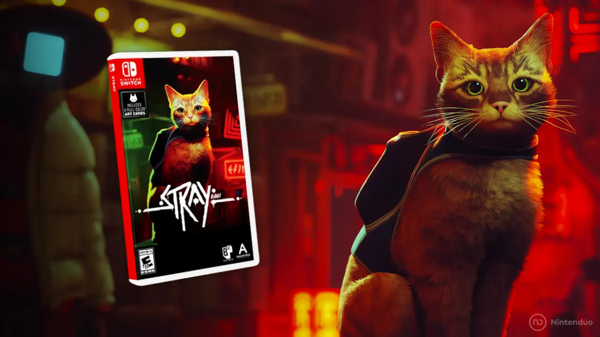 Stray Fisico Nintendo Switch