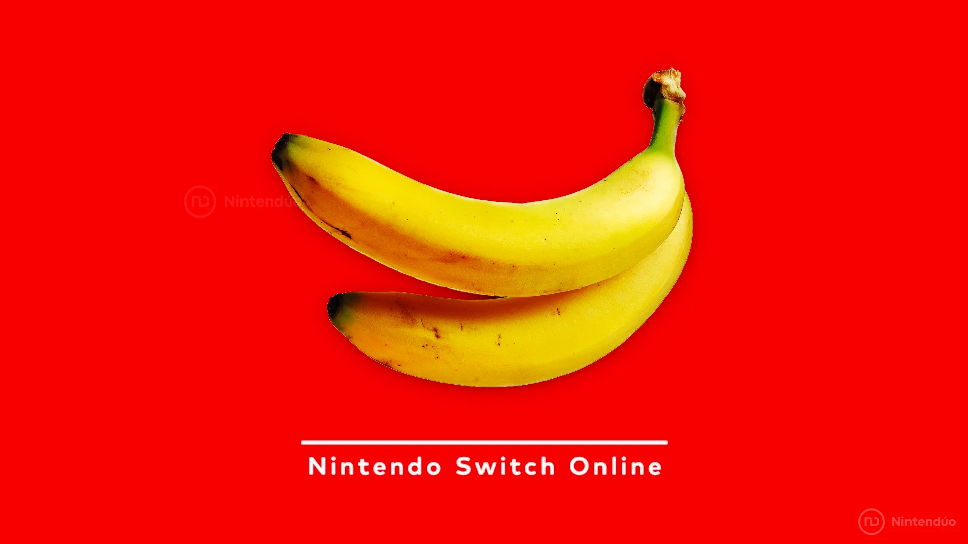 Donkey Kong Land 2 Switch Online