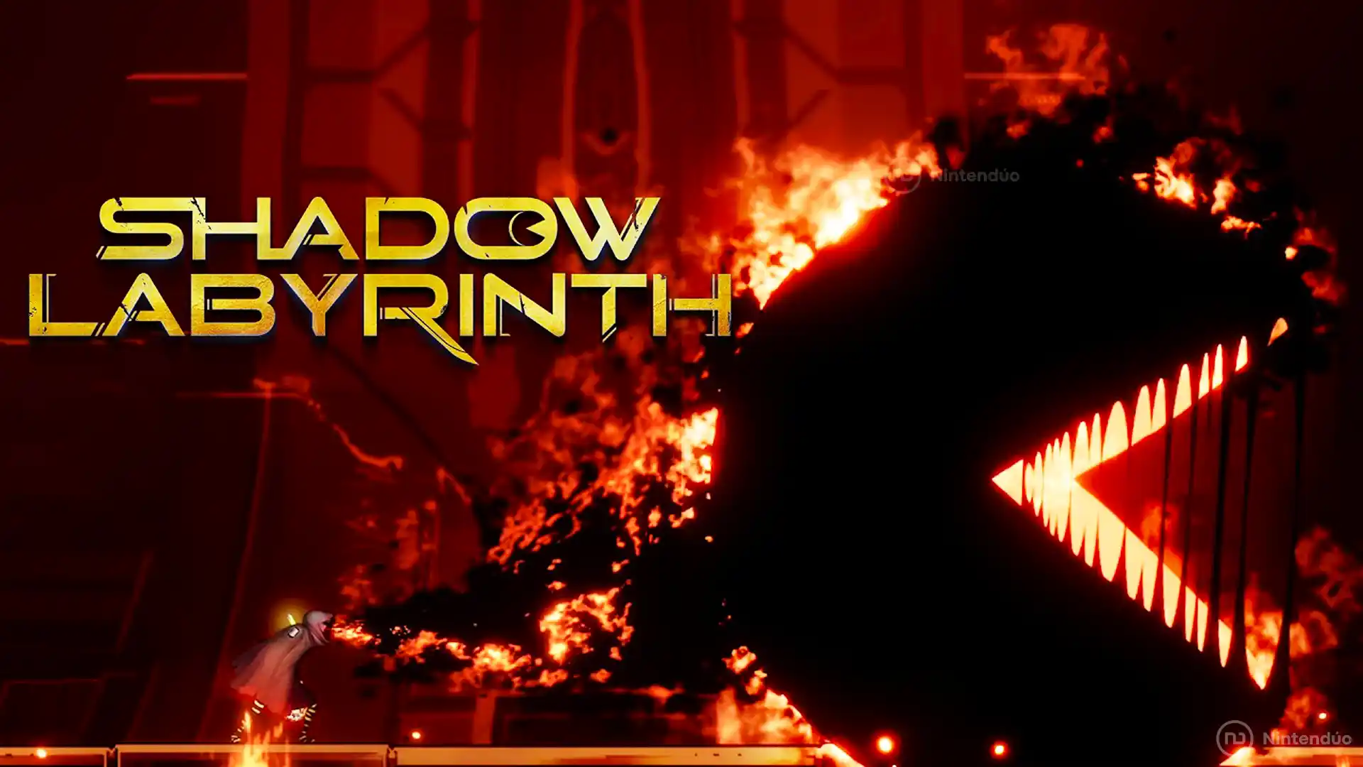 Shadow Labyrinth Pac Man