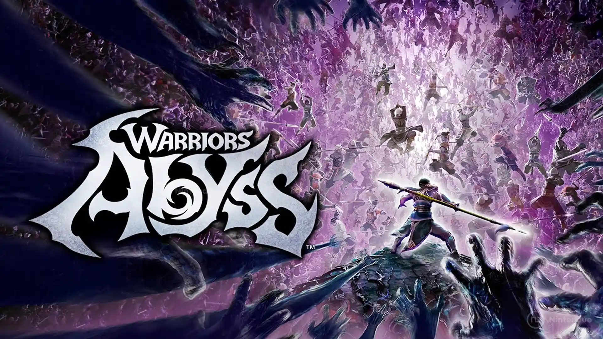 Warriors Abyss Switch