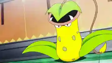 Pokémon presenta la nueva Megaevolución de Victreebel: así es Mega-Victreebel