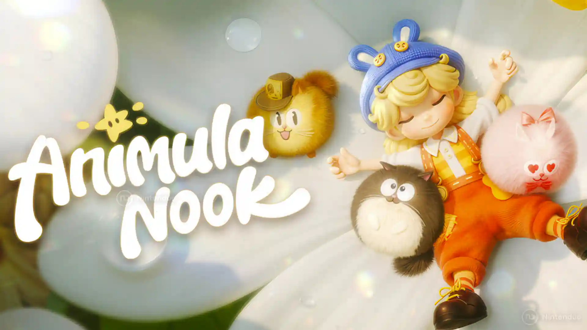 Animula Nook