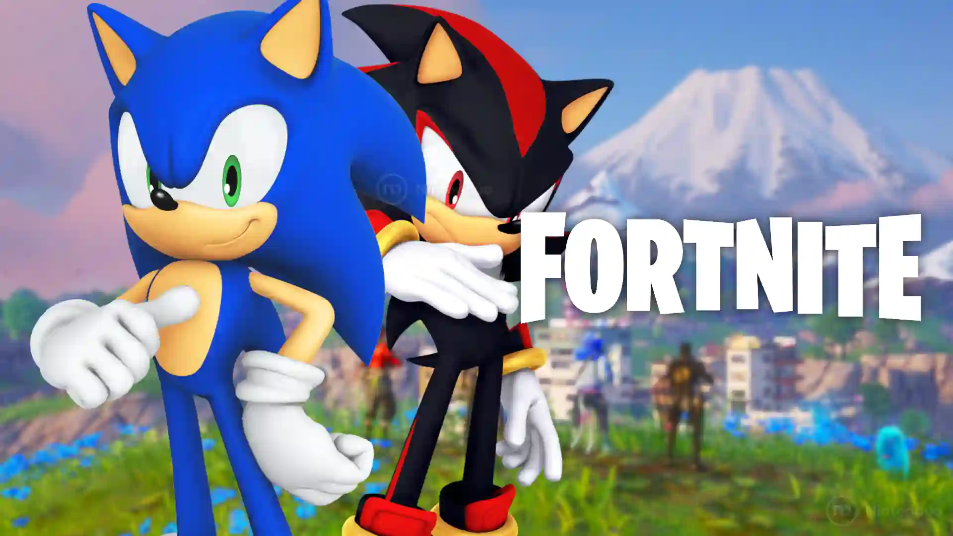 Sonic x Shadow Fortnite