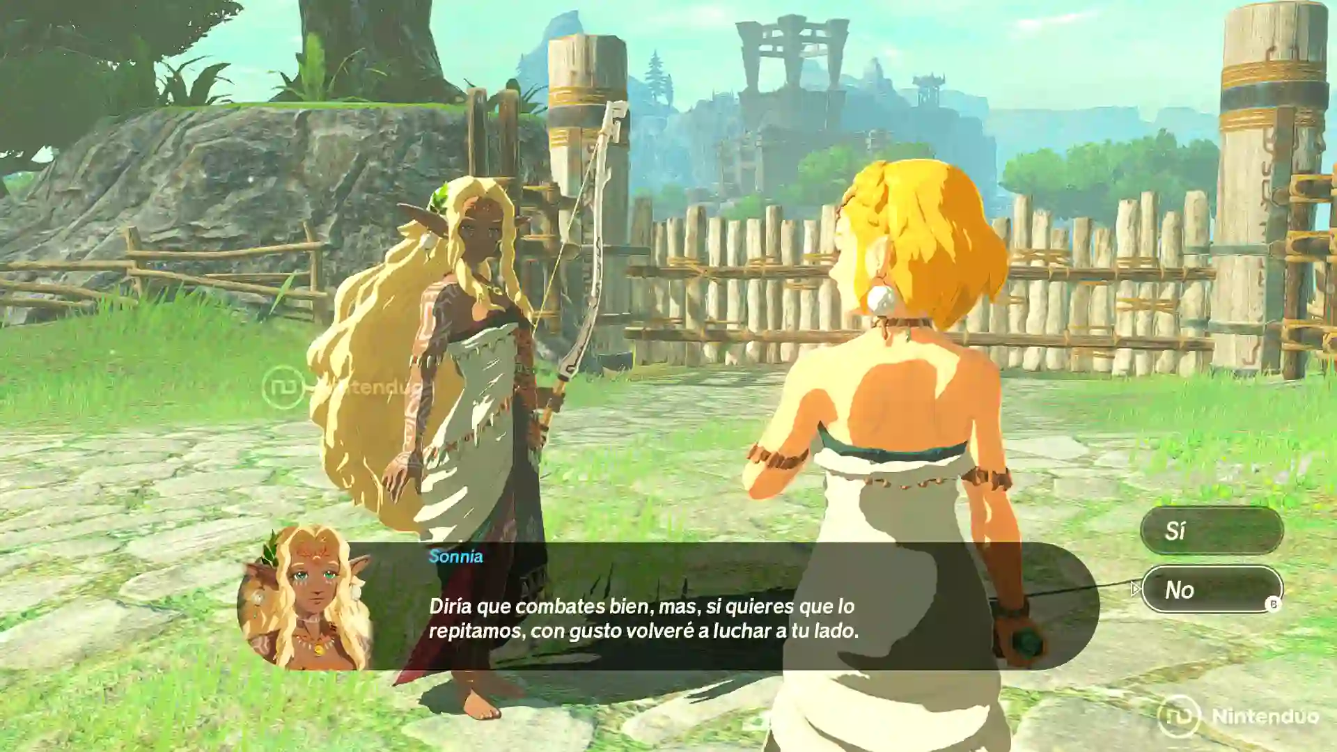 Sonia conversa con Zelda en Hyrule Warriors: La Era del Destierro en un campo de entrenamiento, ofreciendo repetir el combate con opciones de respuesta Sí y No.