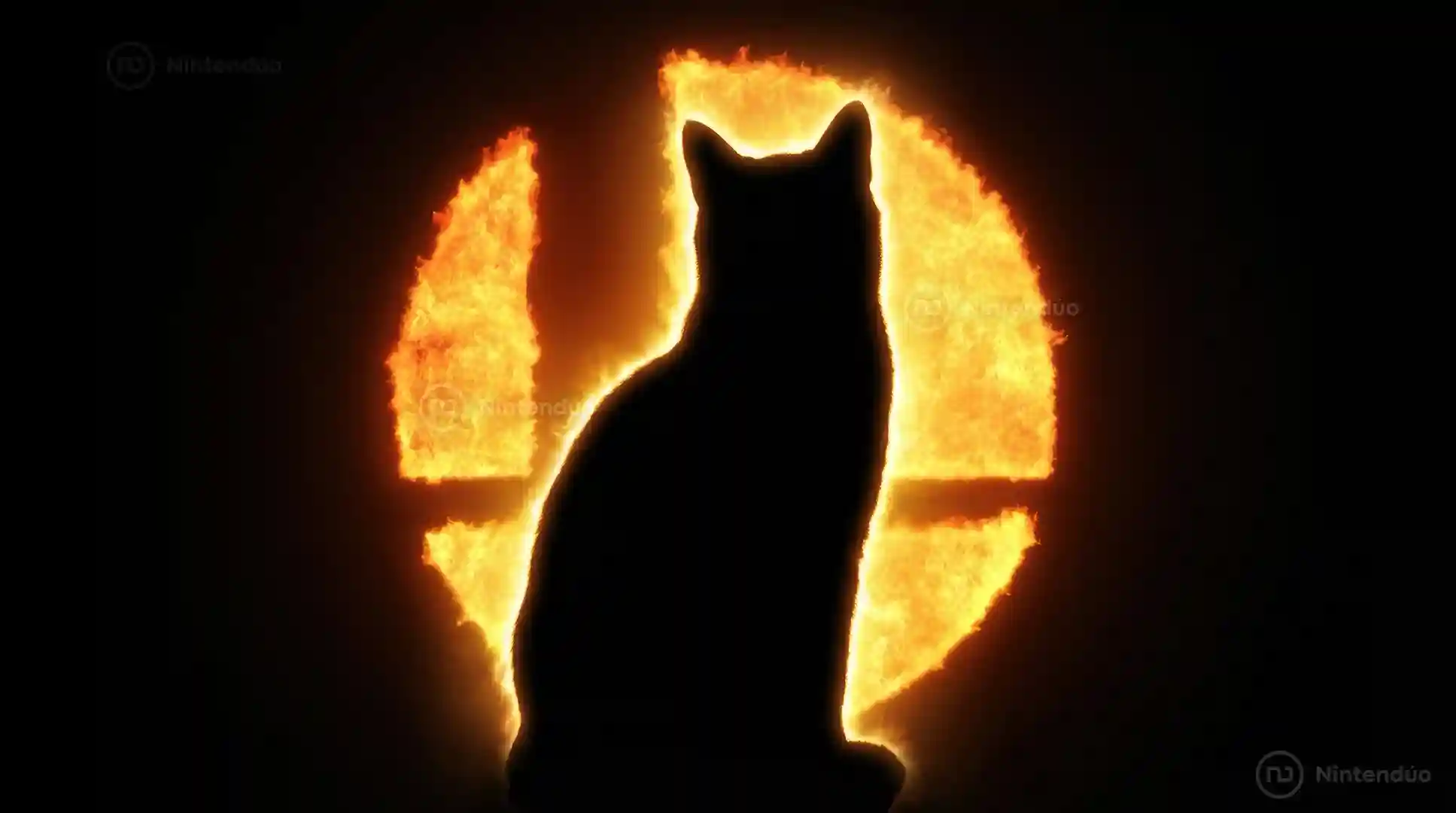 Fukurashi, la gata de Sakurai